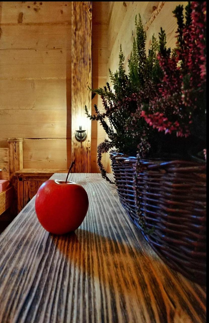 Bukowianska Ostoja - Sauna, Jacuzzi I Balia W Ofercie 布库维纳塔然斯卡 外观 照片